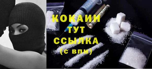 индика Щучье