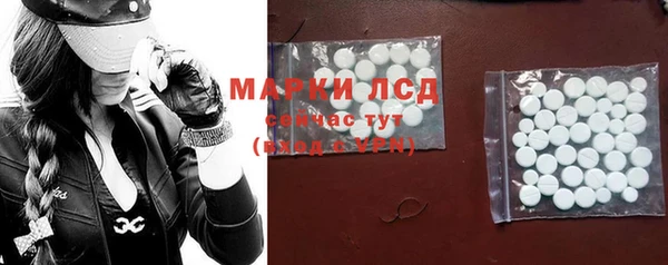 индика Щучье
