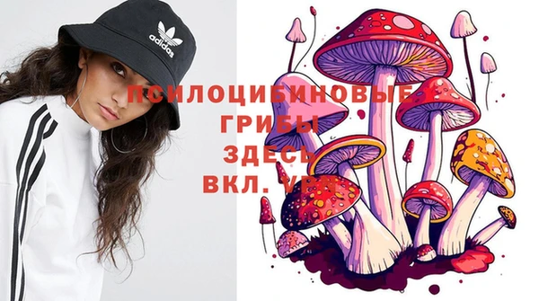 не бодяженный Щигры