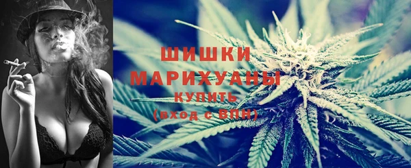 индика Щучье