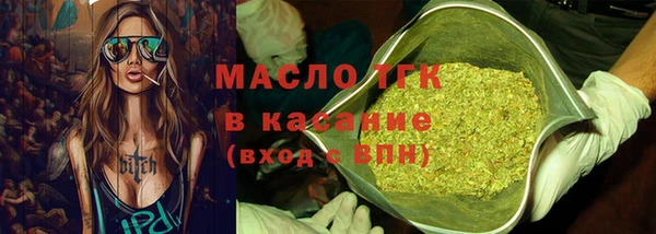 индика Щучье