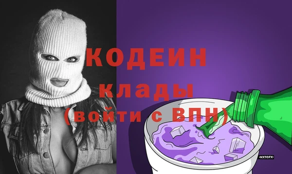 индика Щучье