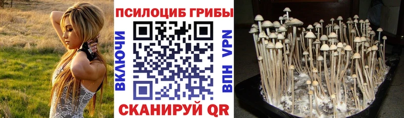 как найти закладки  KRAKEN маркетплейс  Галлюциногенные грибы Magic Shrooms  darknet формула  Агрыз 