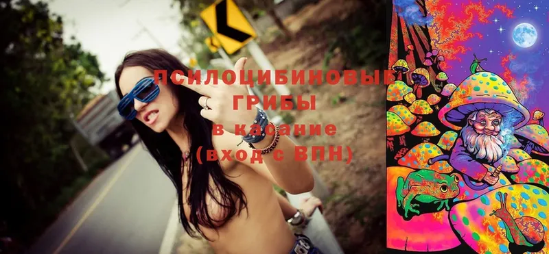 Псилоцибиновые грибы Cubensis где продают наркотики даркнет формула Агрыз